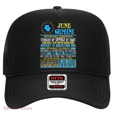 Gemini Facts Funny June Gemini Birthday Gif Hat