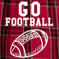 Go Football Men's Flannel Plaid Pajama Pants thumb 2