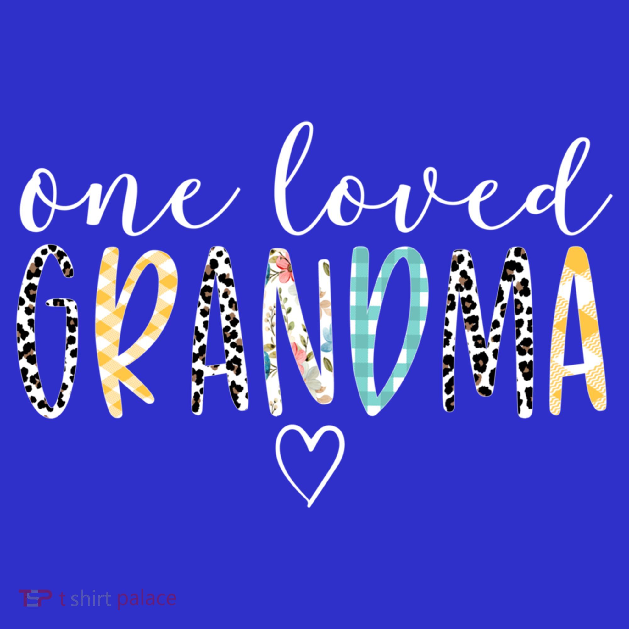 Grandma Funny Gift One Loved Grandma MotherS Day Gift T-Shirt