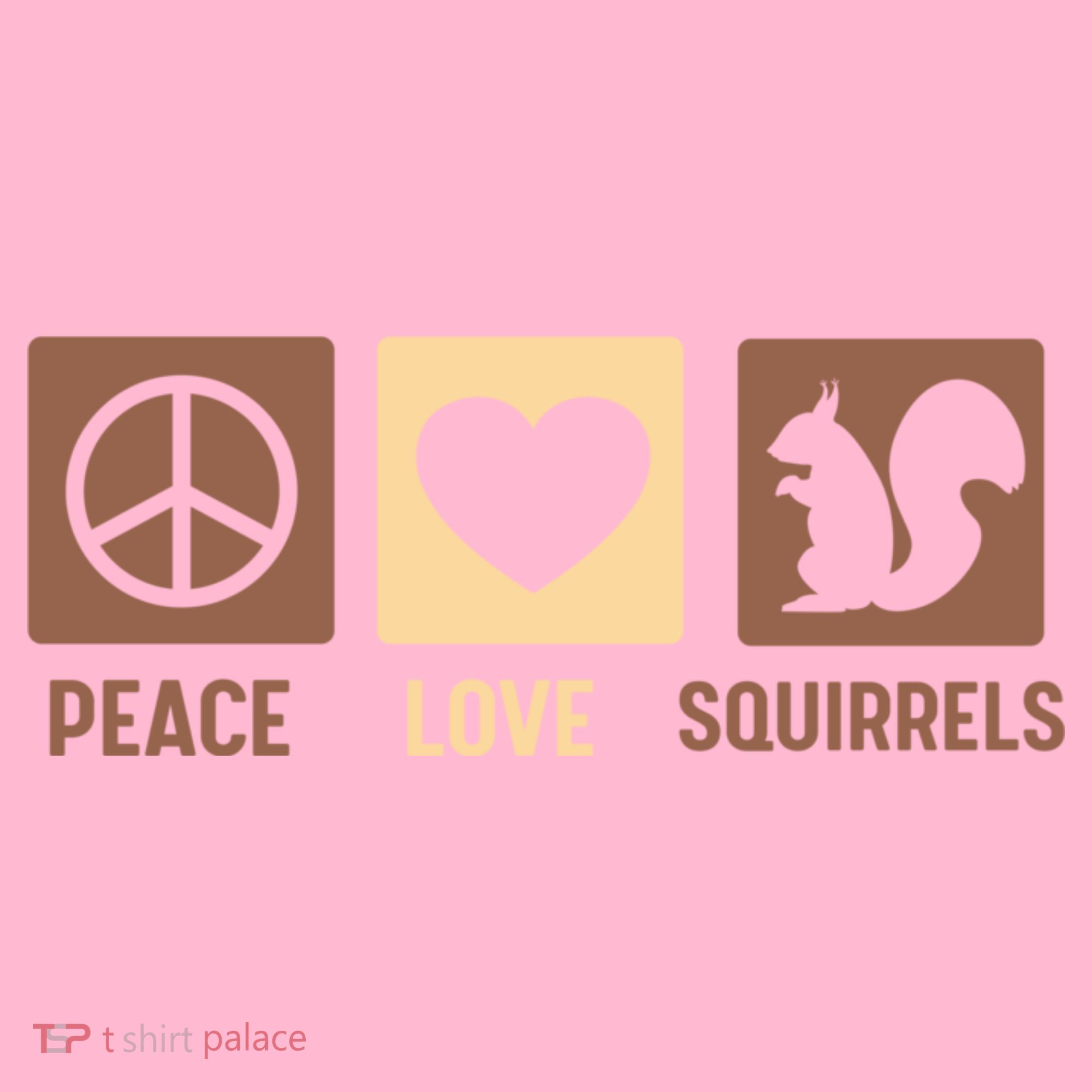 Gift For Squirrel Lovers Cute Gift Peace Love Squirrels Gift Coaster