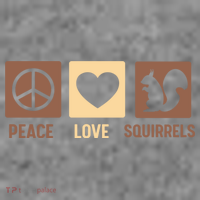 Gift For Squirrel Lovers Cute Gift Peace Love Squirrels Gift Toddler Hoodie thumb 2