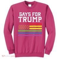 Gays For Trump Usa Flag Pro Reelect Donald 2020 Lgpt Gift Sweatshirt thumb 0