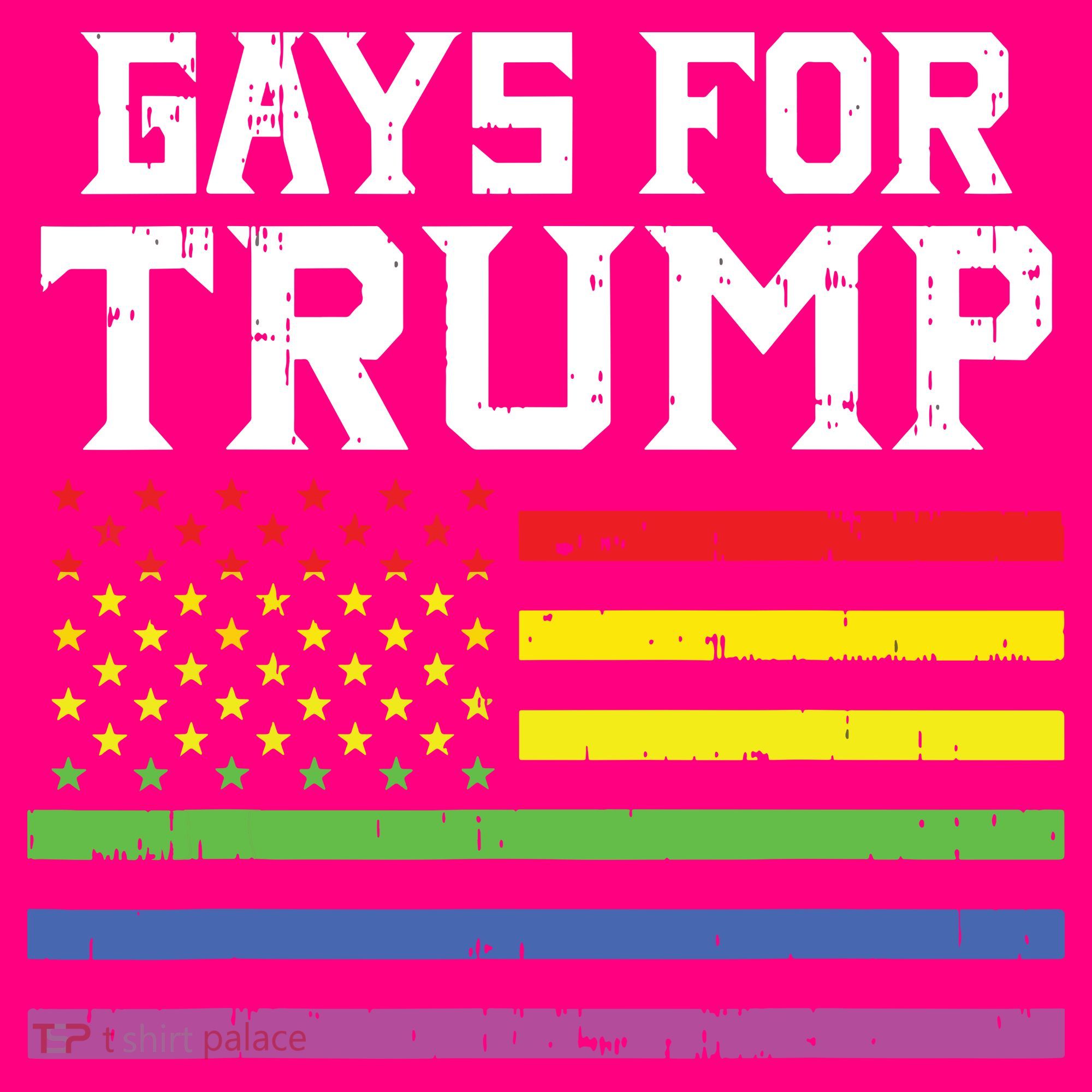 Gays For Trump Usa Flag Pro Reelect Donald 2020 Lgpt Gift Sweatshirt