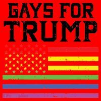 Gays For Trump Usa Flag Pro Reelect Donald 2020 Lgpt Gift Santa Hat thumb 1