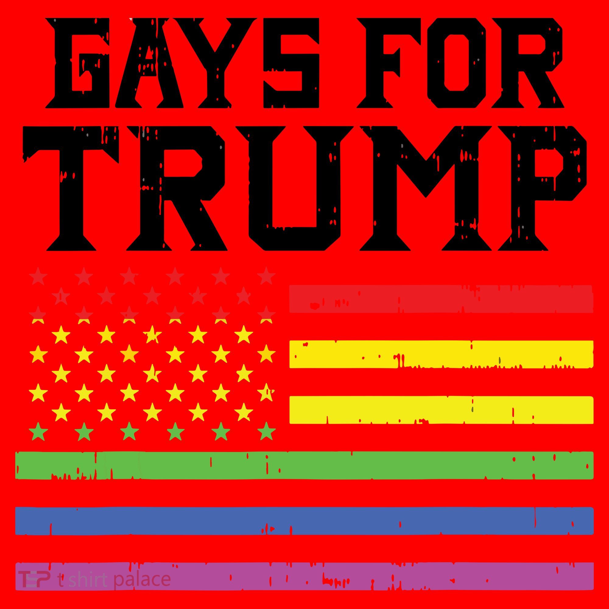 Gays For Trump Usa Flag Pro Reelect Donald 2020 Lgpt Gift Santa Hat