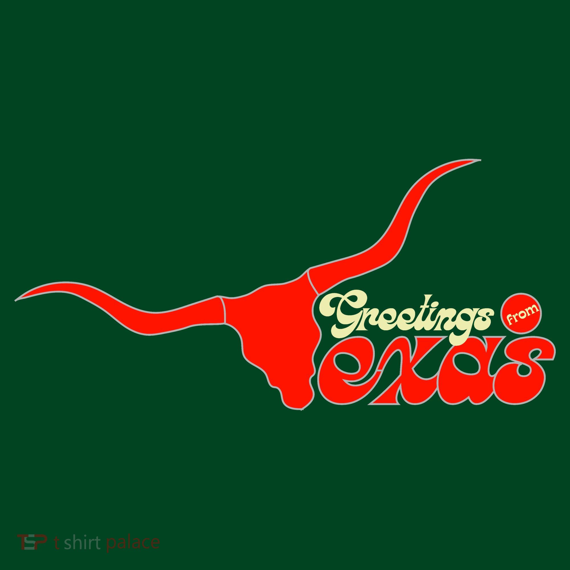 Greetings From Texas Longhorn Logo Kids Sweatshirt