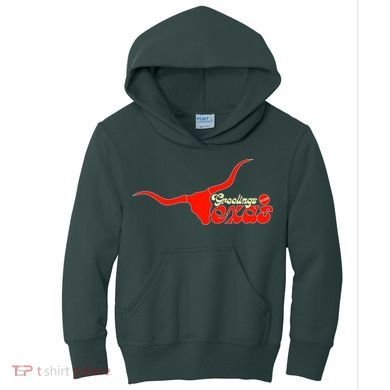 Greetings From Texas Longhorn Logo Kids Hoodie