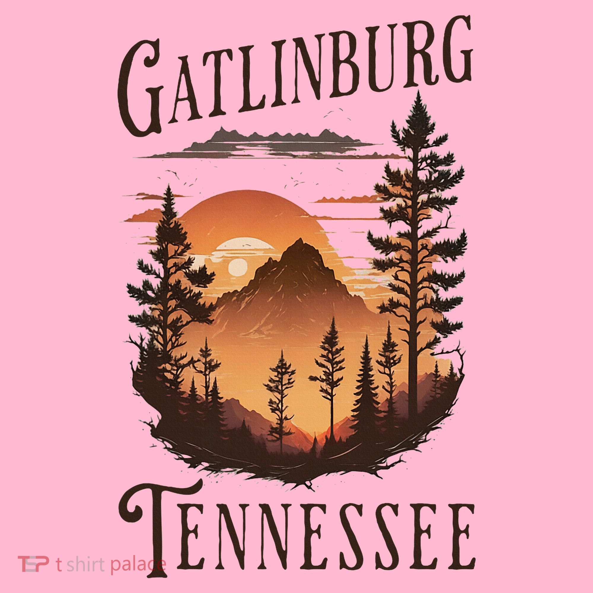 Gatlinburg Coaster