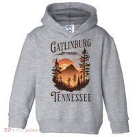 Gatlinburg Toddler Hoodie thumb 0