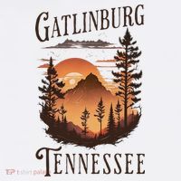 Gatlinburg Women's Tank Top thumb 5