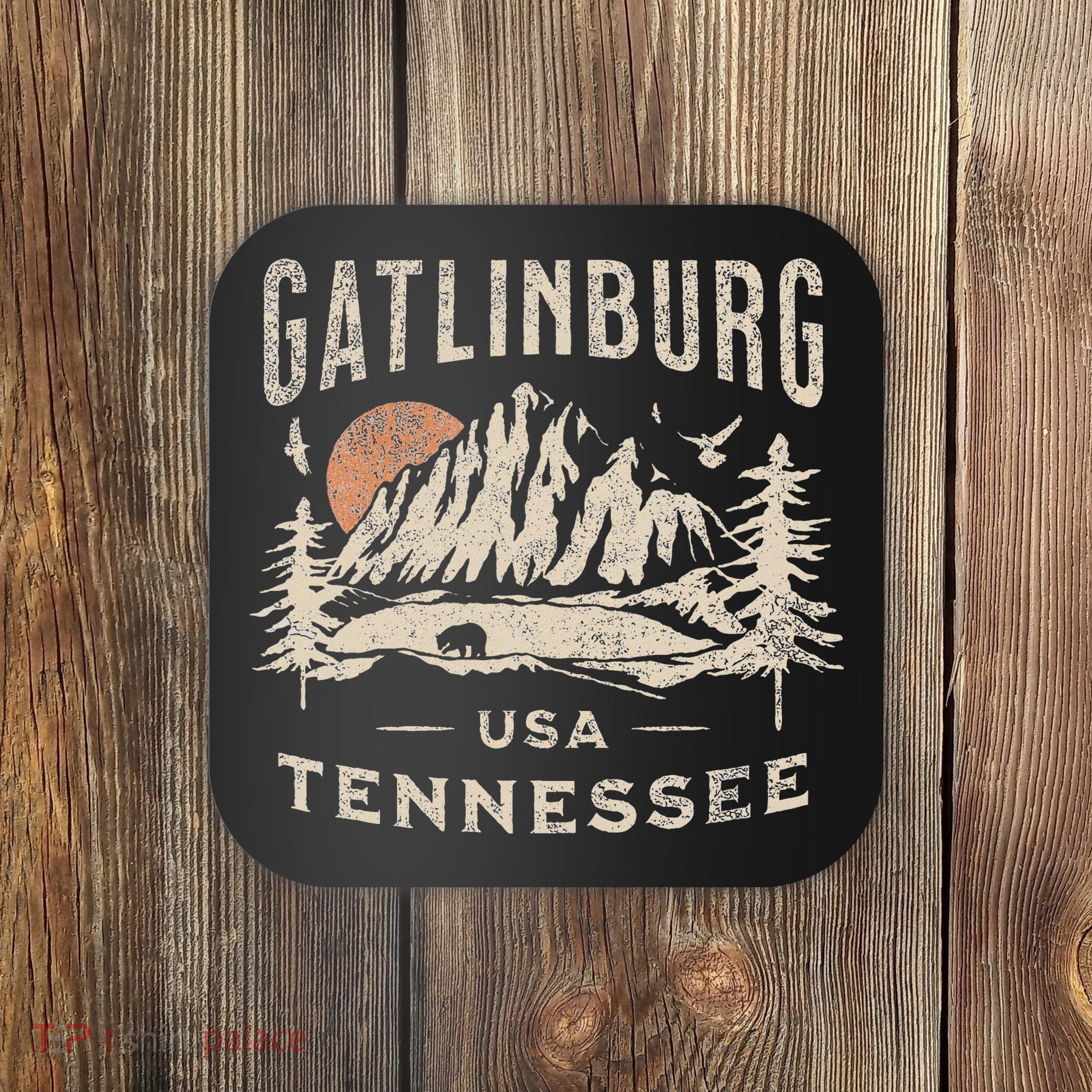 Gatlinburg Coaster
