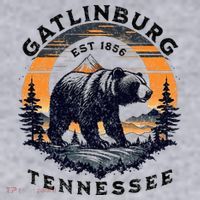 Gatlinburg Women's Sweatshirt thumb 2