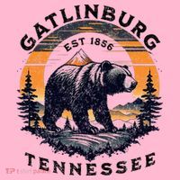 Gatlinburg Coaster thumb 2