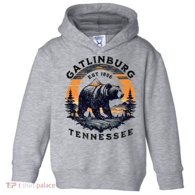 Gatlinburg Toddler Hoodie