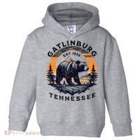 Gatlinburg Toddler Hoodie thumb 0