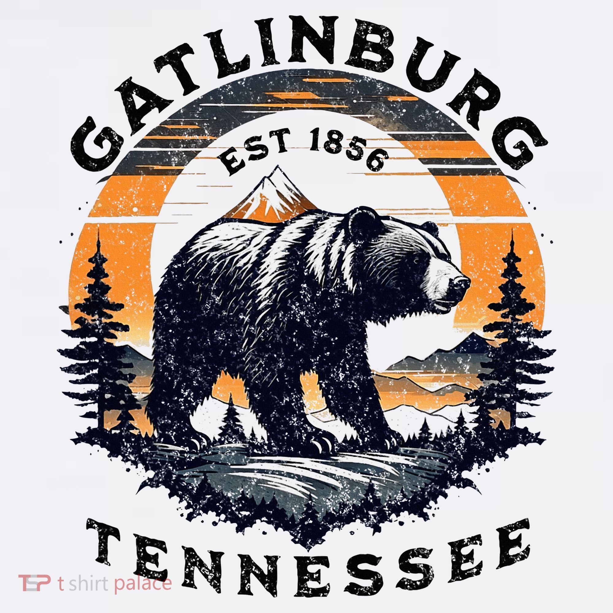 Gatlinburg Women's Long Sleeve Shirt