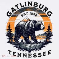 Gatlinburg Kids Sweatshirt thumb 2