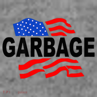 Garbage Garbage America Flag Toddler Hoodie thumb 2