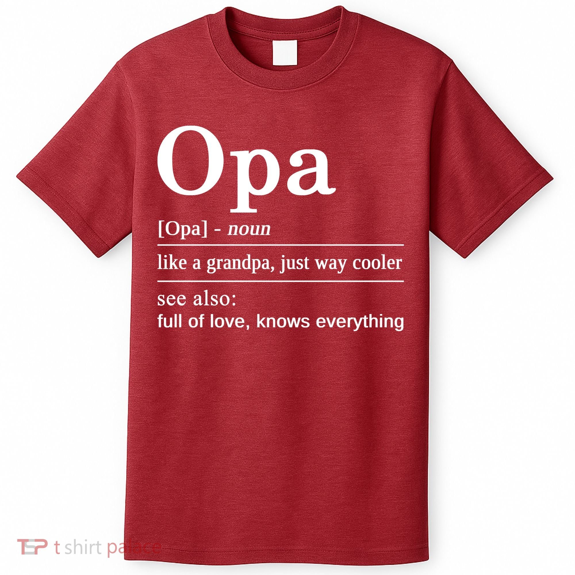 German Grandpa Best Opa For Your German Grandfather T-Shirt