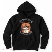 Grumpy Ginger Cat DonT Meowdl With Me IM Not Kitten Around Hoodie thumb 0