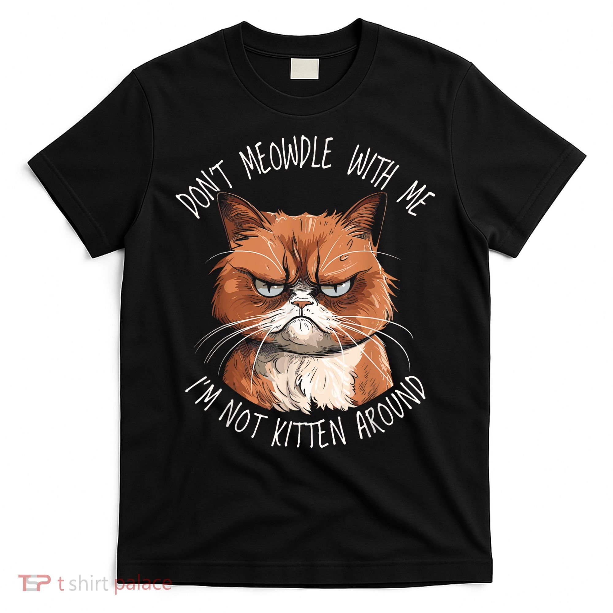 Grumpy Ginger Cat DonT Meowdl With Me IM Not Kitten Around T-Shirt