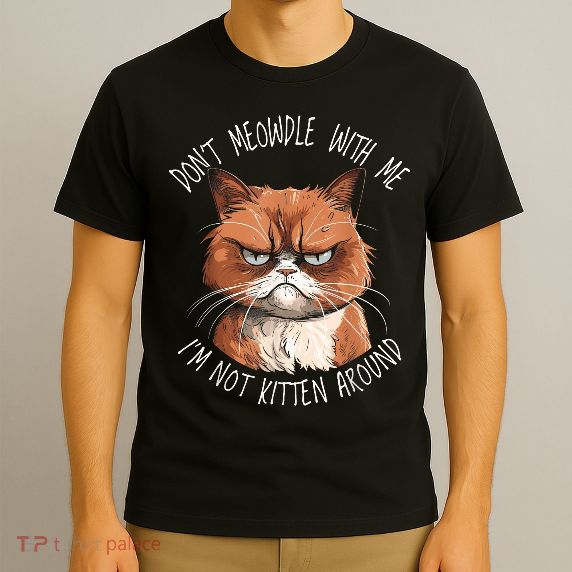 Grumpy Ginger Cat DonT Meowdl With Me IM Not Kitten Around T-Shirt