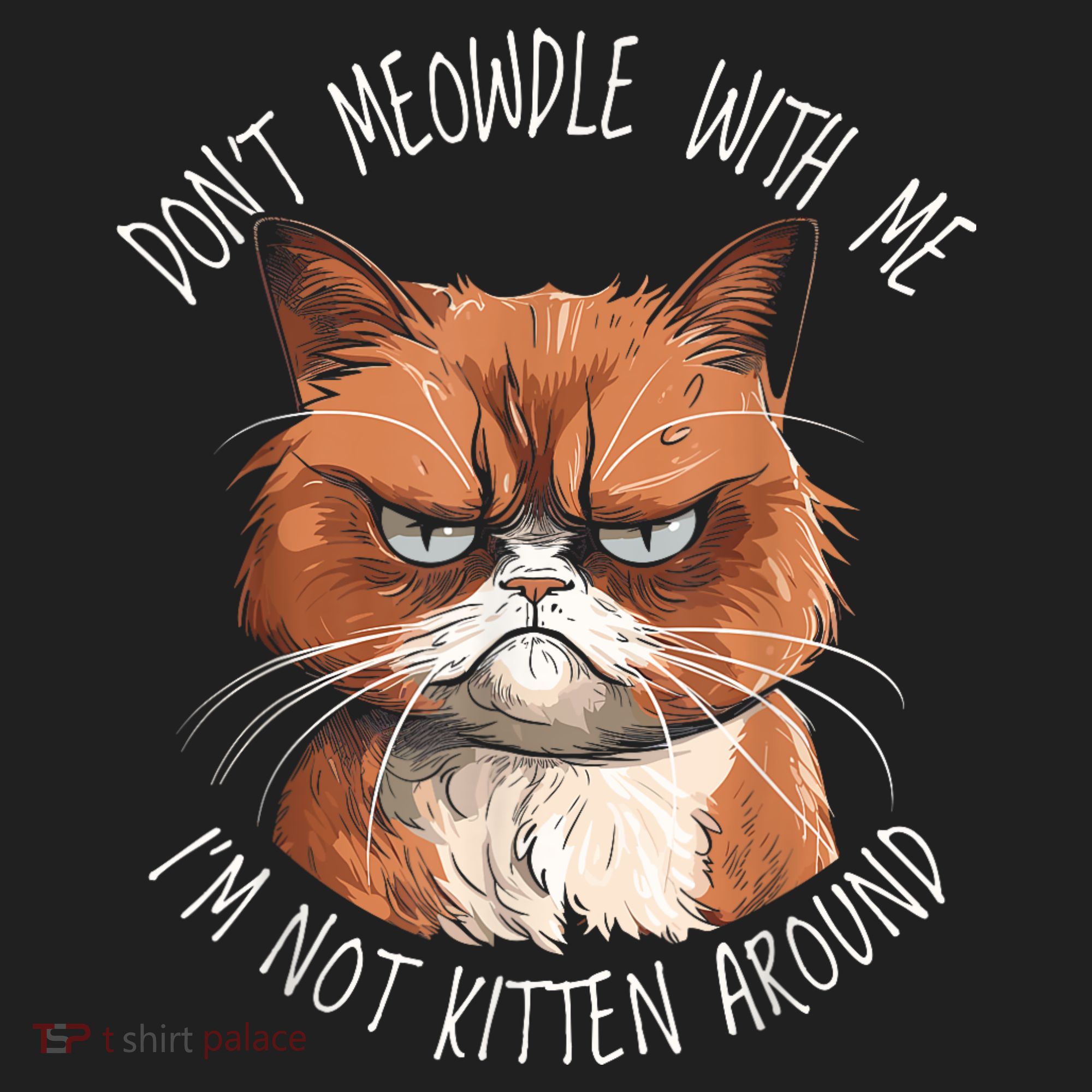 Grumpy Ginger Cat DonT Meowdl With Me IM Not Kitten Around Beanie