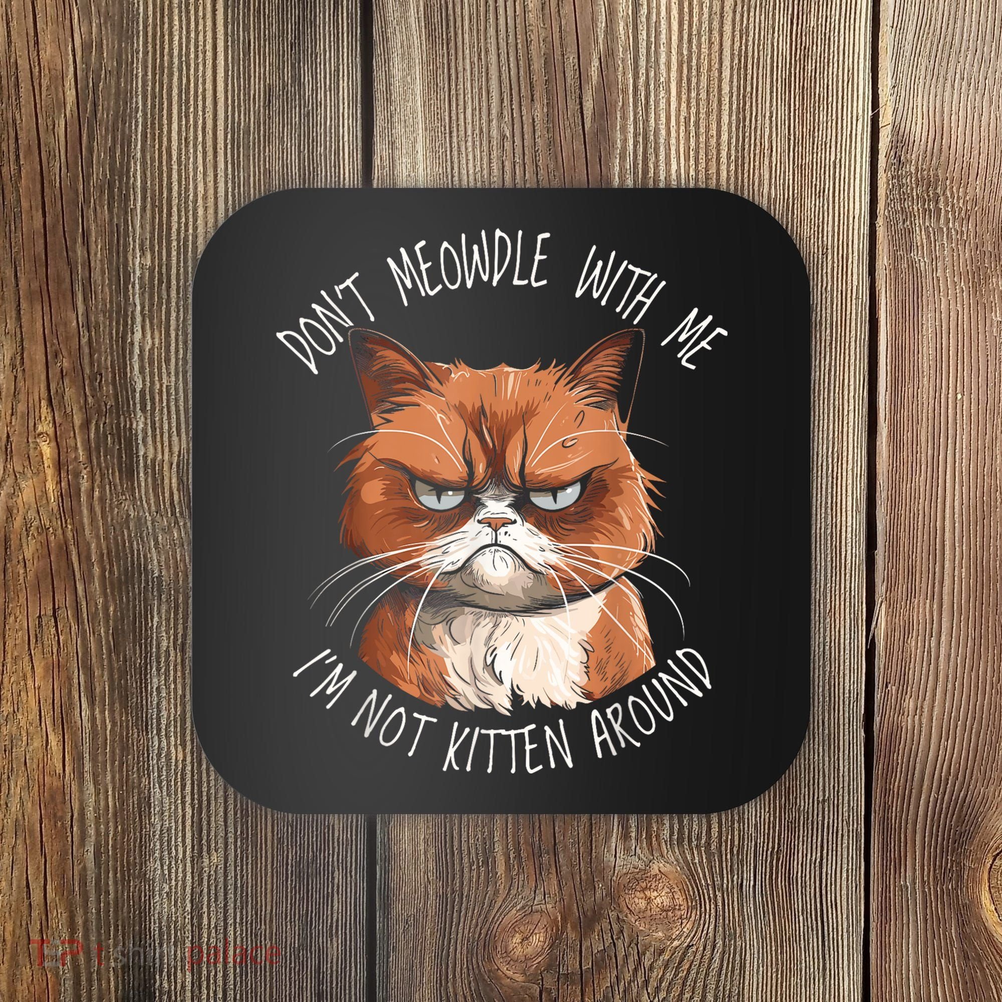 Grumpy Ginger Cat DonT Meowdl With Me IM Not Kitten Around Coaster