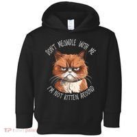 Grumpy Ginger Cat DonT Meowdl With Me IM Not Kitten Around Toddler Hoodie thumb 0