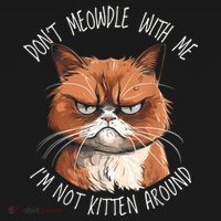 Grumpy Ginger Cat DonT Meowdl With Me IM Not Kitten Around Toddler Hoodie thumb 2