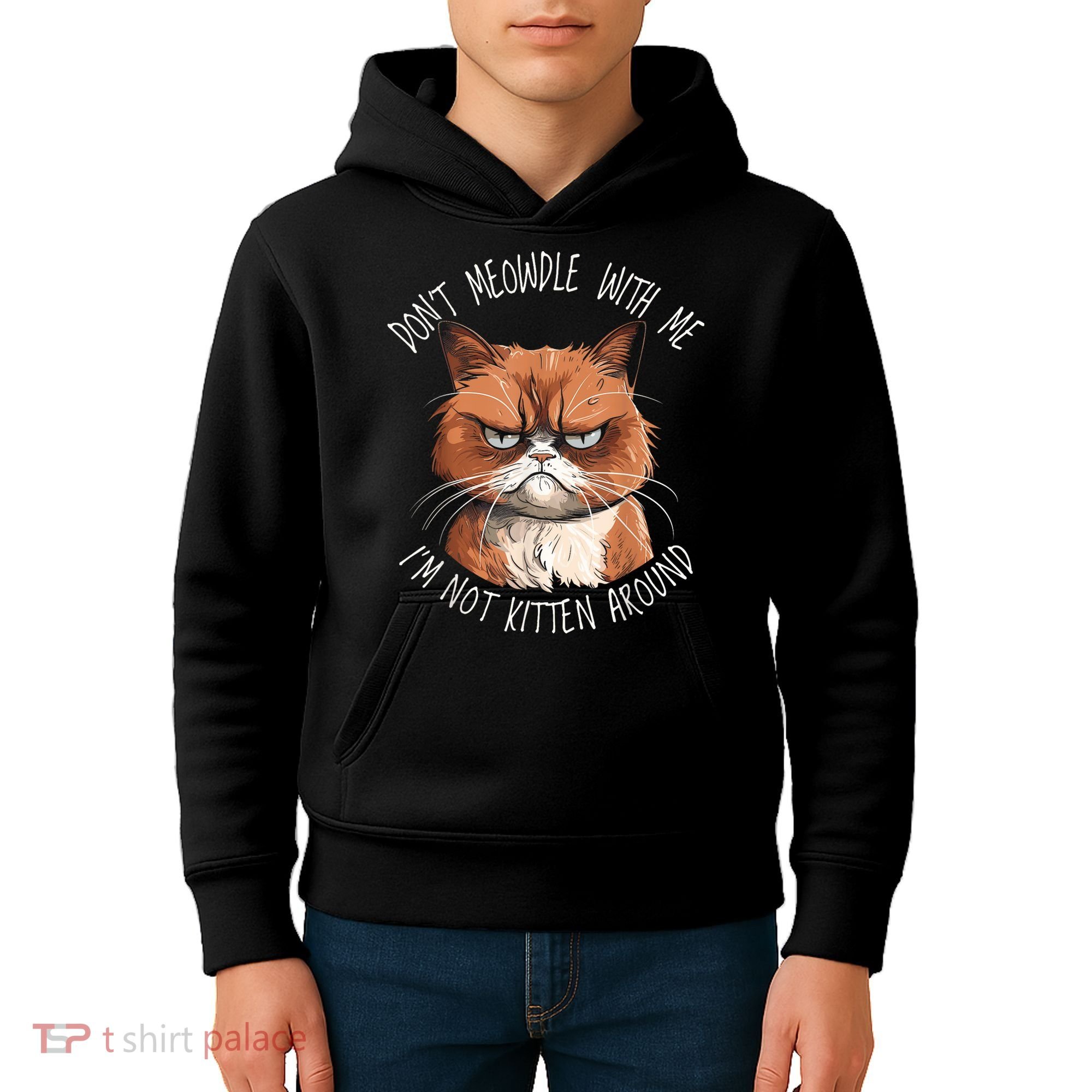Grumpy Ginger Cat DonT Meowdl With Me IM Not Kitten Around Kids Hoodie