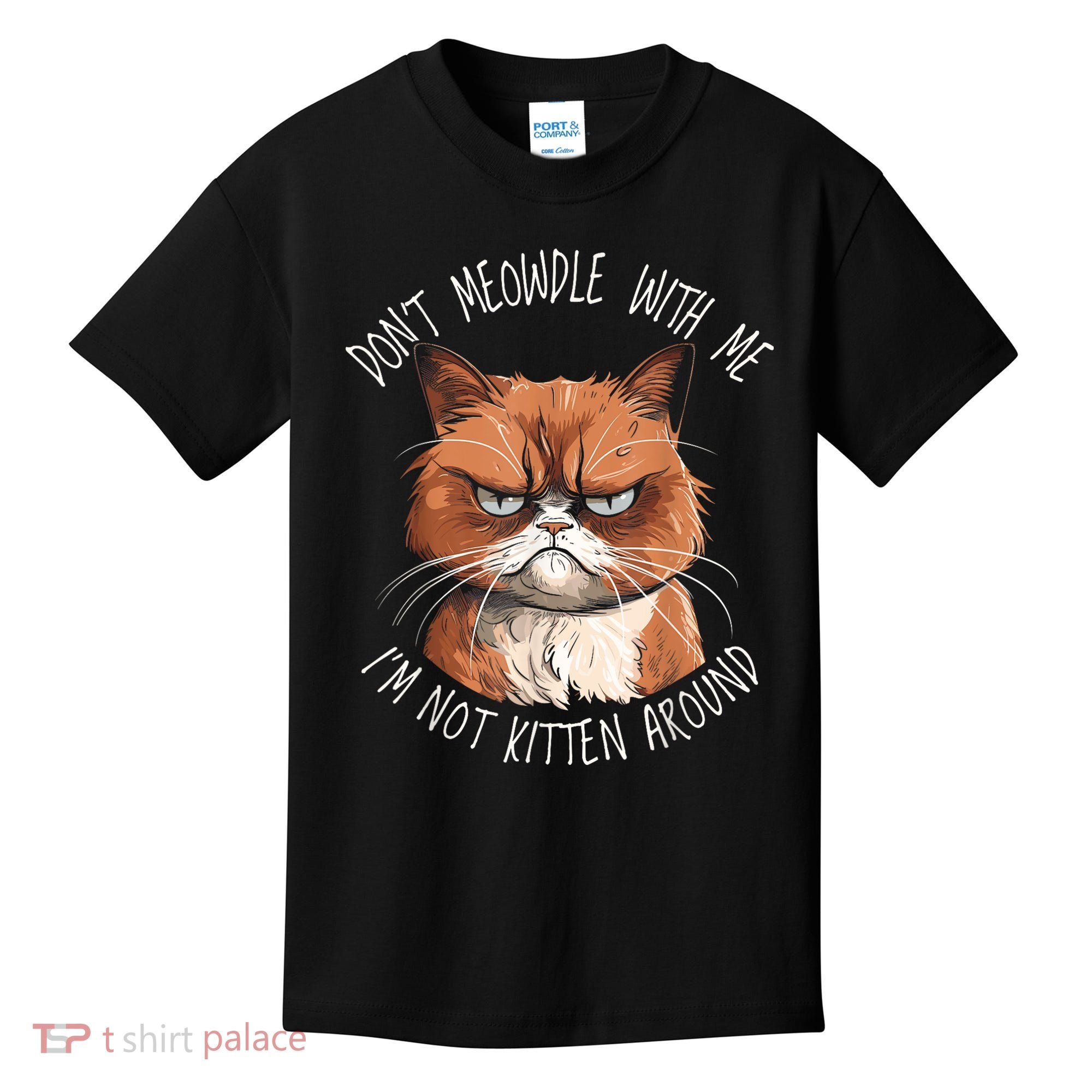 Grumpy Ginger Cat DonT Meowdl With Me IM Not Kitten Around Kids T-Shirt