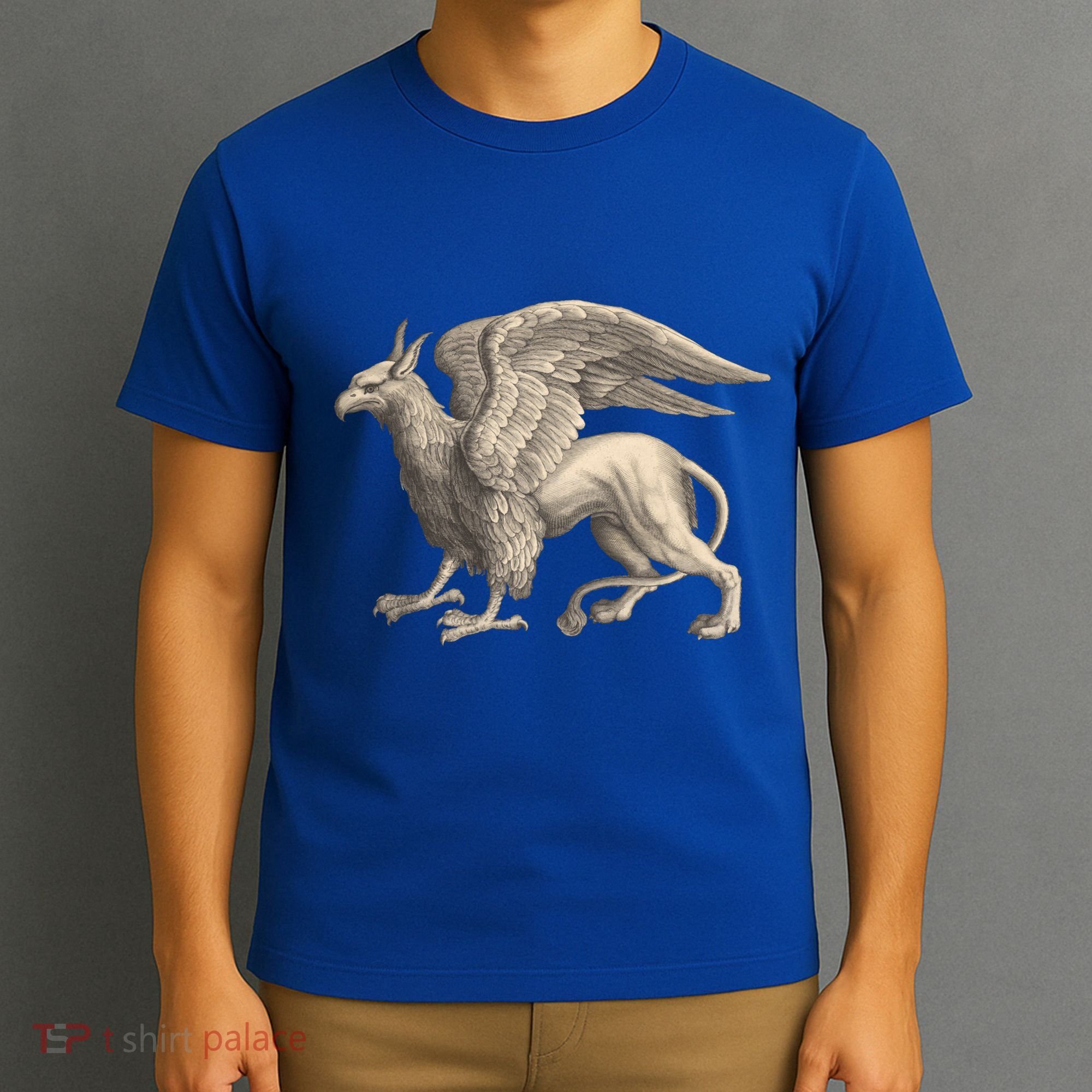 Griffin Gift Eagle Lion Medieval Bird Mythical Creature Gift T-Shirt