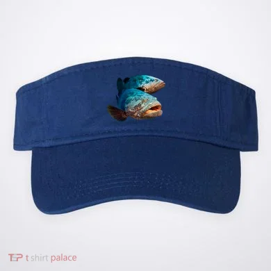 Visor