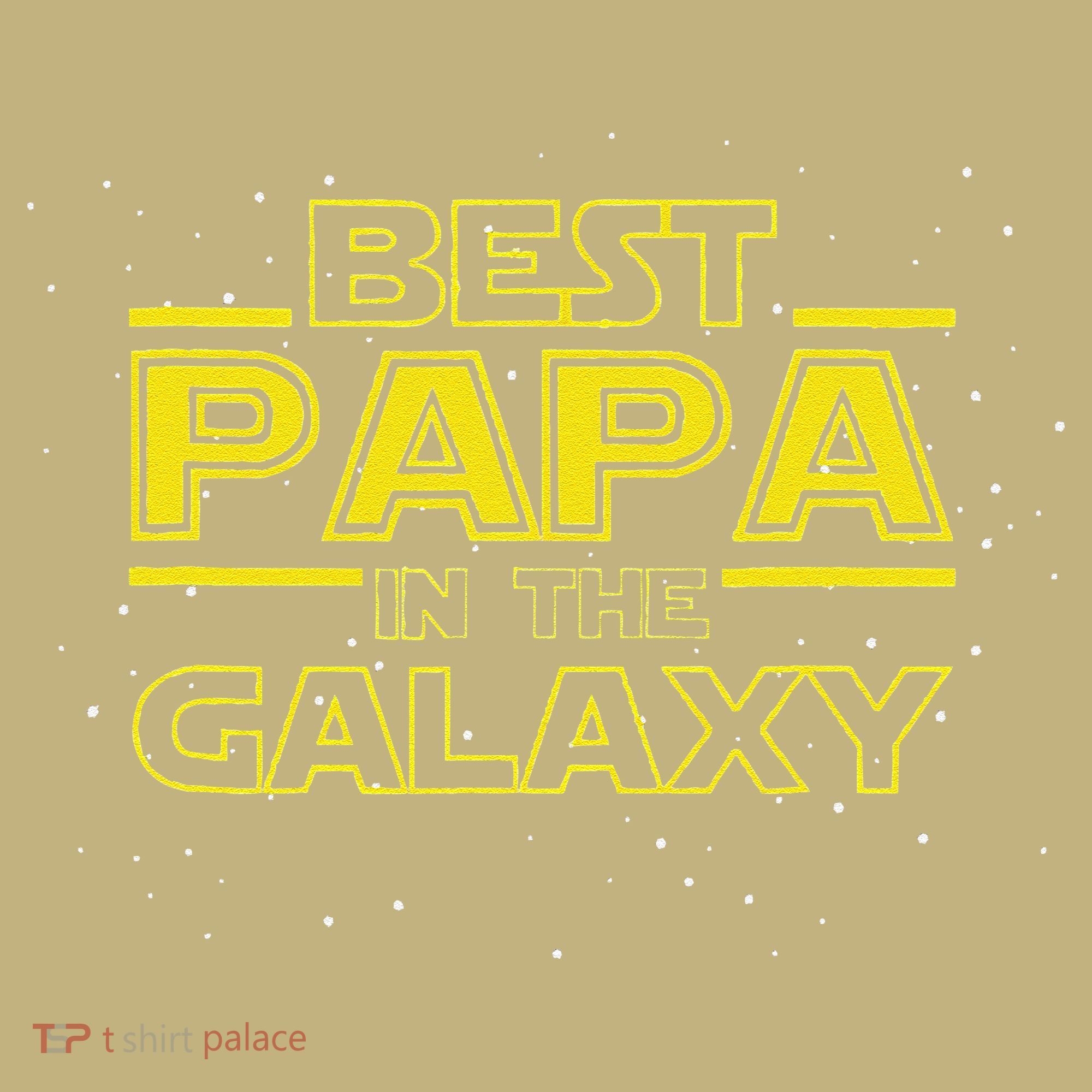 Grandpa Gift For Papa Best Papa In The Galaxy Sweatshirt