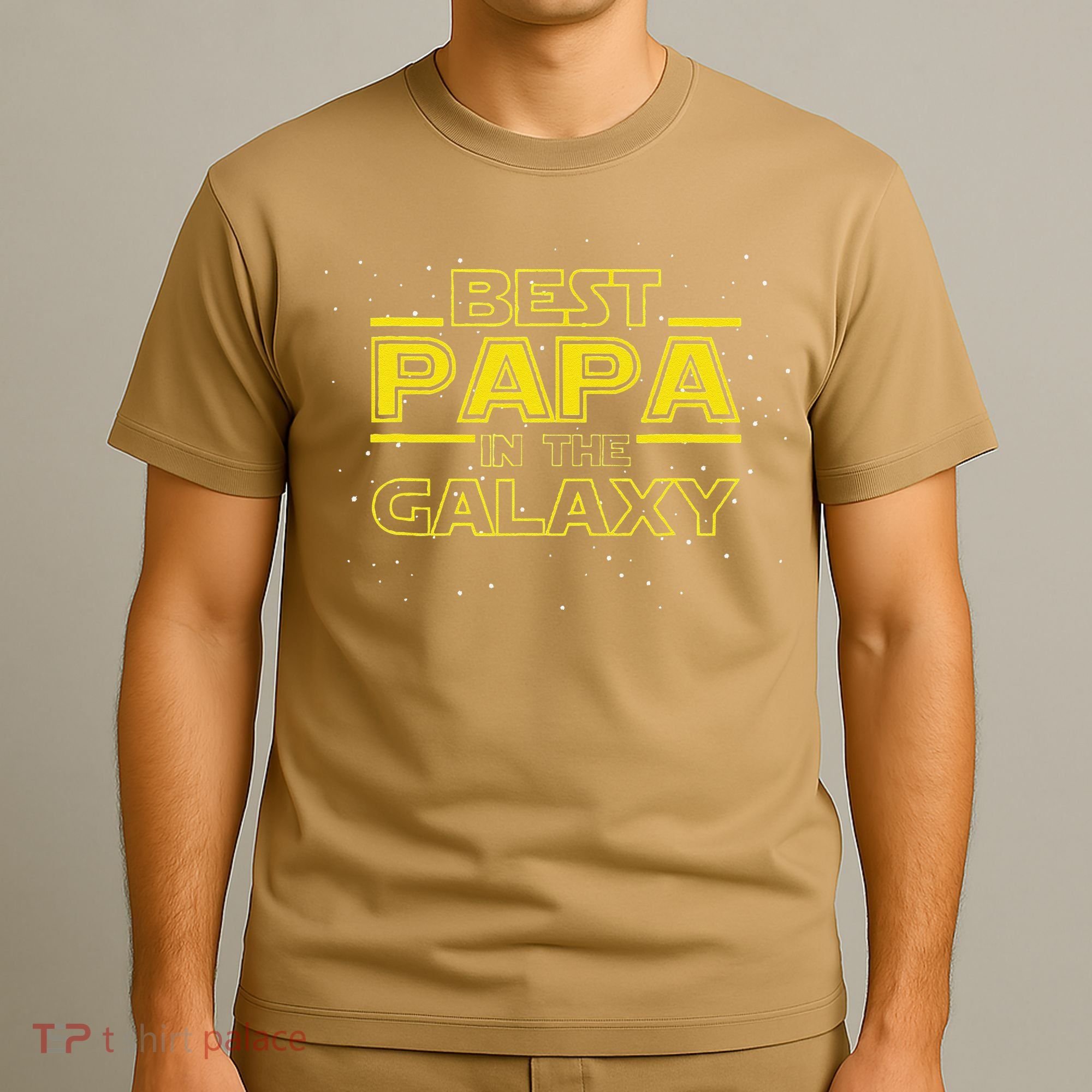 Grandpa Gift For Papa Best Papa In The Galaxy T-Shirt