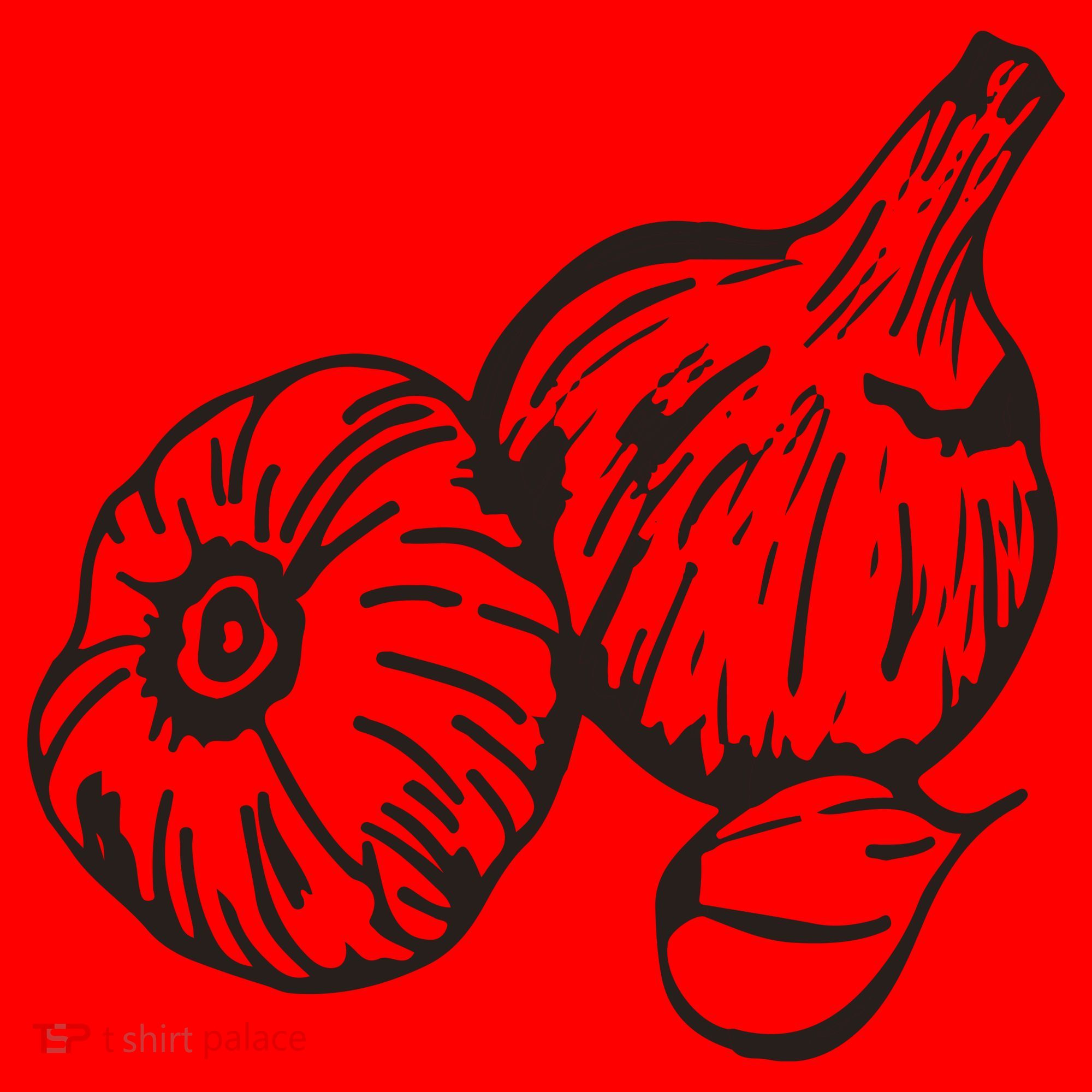Garlic Garden Gift Santa Hat