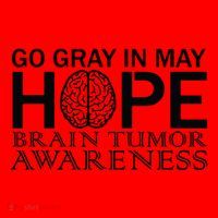 Go Gray In May Brain Cancer Santa Hat thumb 1