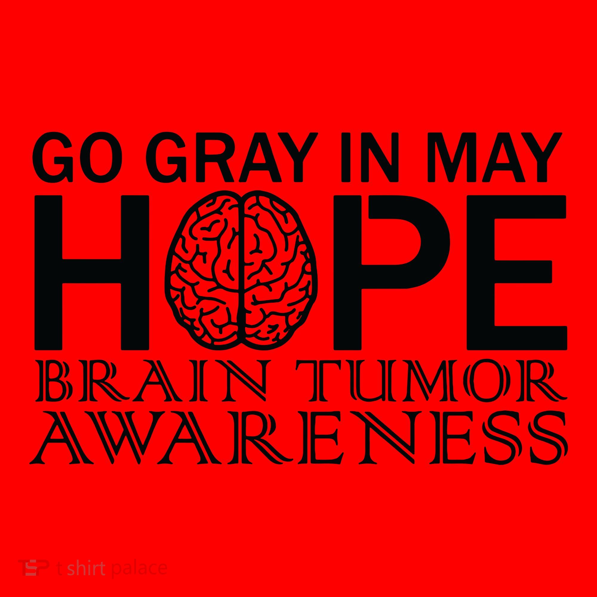 Go Gray In May Brain Cancer Santa Hat