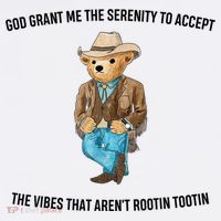 God Grant Me The Serenity To Accept The Vibes That Aren’t Rootin Tootin T-Shirt thumb 7