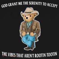 God Grant Me The Serenity To Accept The Vibes That Aren’t Rootin Tootin T-Shirt thumb 7