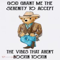 God Grant Me The Serenity To Accept The Vibes Women's T-Shirt thumb 6