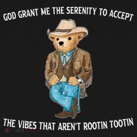 God Grant Me The Serenity To Accept The Vibes That Arent Rootin Tootin T-Shirt thumb 7
