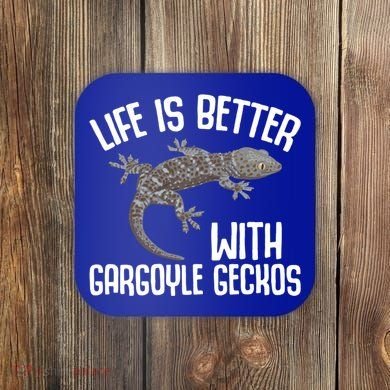 Gargoyle Gecko Owner Lizard Keeping Reptile Keeper Cool Gift Coaster