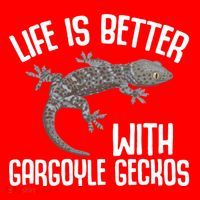 Gargoyle Gecko Owner Lizard Keeping Reptile Keeper Cool Gift Santa Hat thumb 1