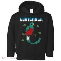 Guatemala Guatemalan Quetzal Toddler Hoodie thumb 0