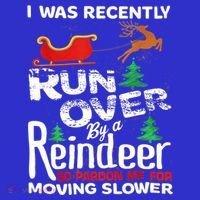 Grandma Got Run Over By A Reindeer Christmas So Pardon Me Gift Hoodie thumb 2