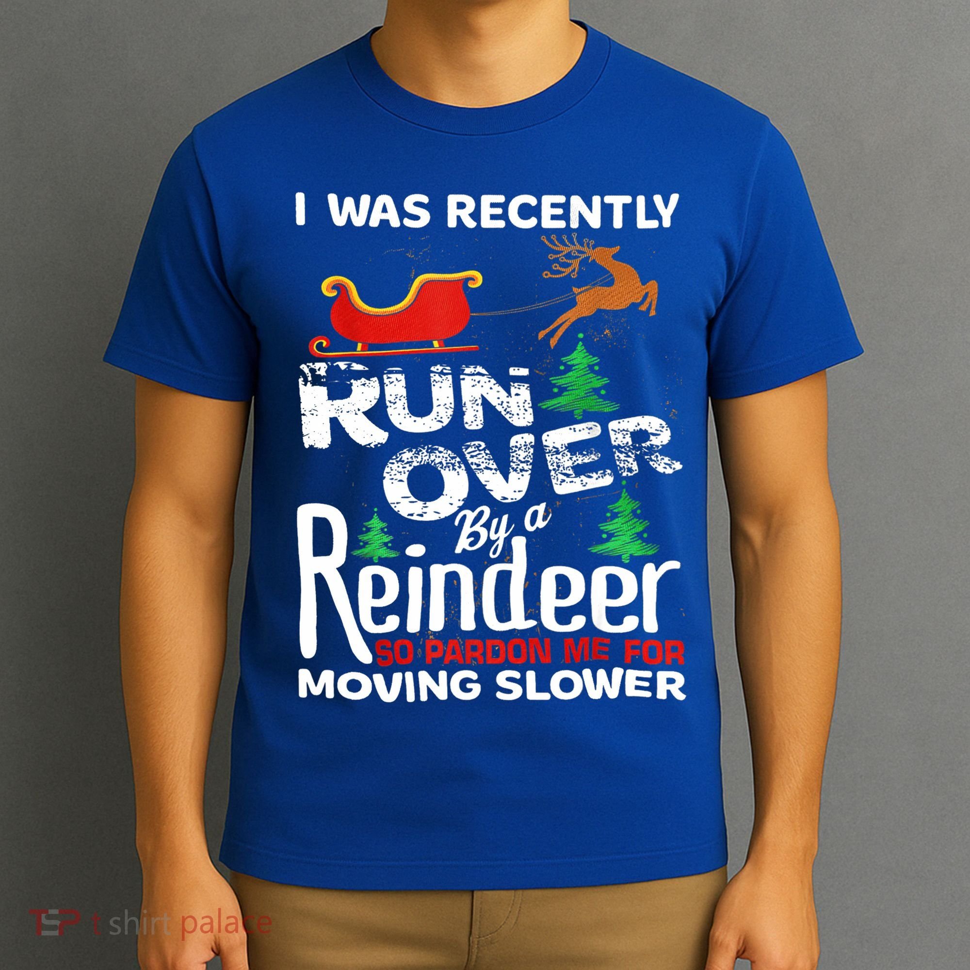 Grandma Got Run Over By A Reindeer Christmas So Pardon Me Gift T-Shirt
