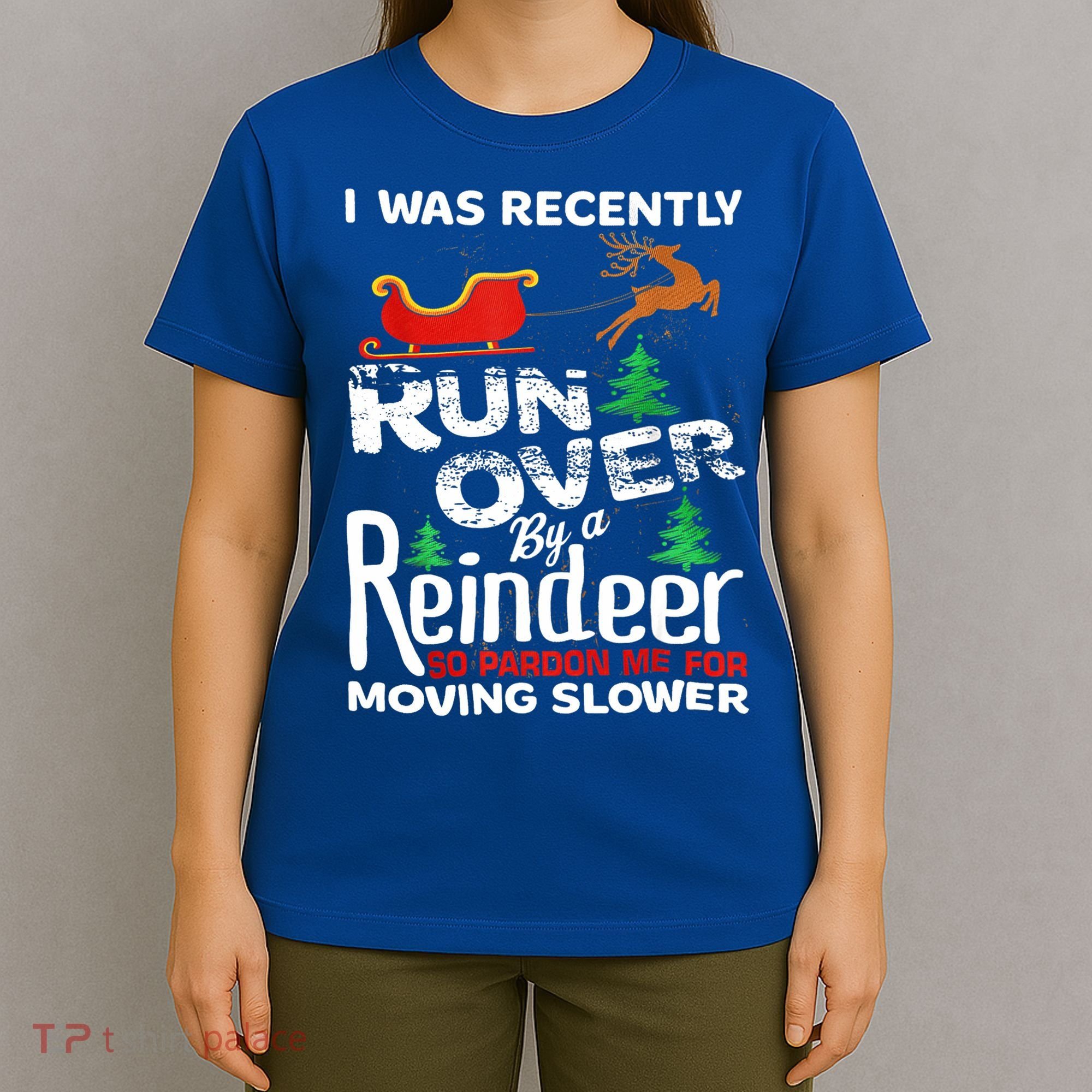 Grandma Got Run Over By A Reindeer Christmas So Pardon Me Gift T-Shirt