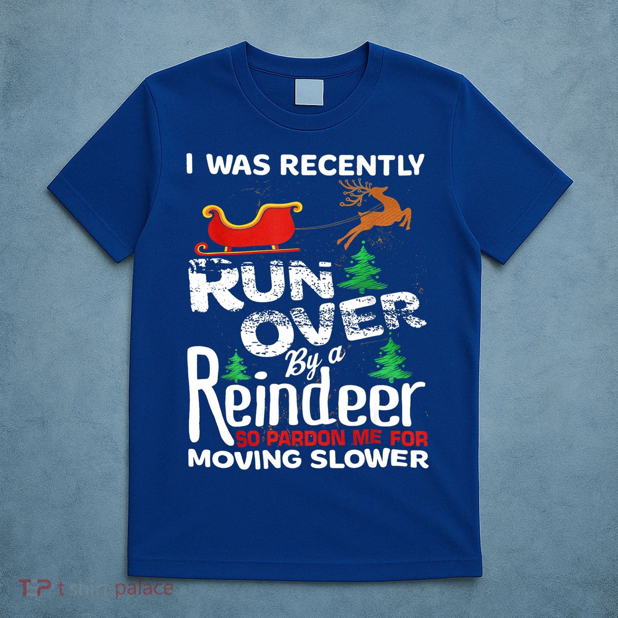 Grandma Got Run Over By A Reindeer Christmas So Pardon Me Gift T-Shirt